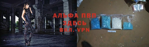 СК Осинники