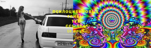 гидропоника Алексеевка