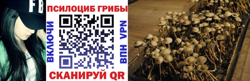 Галлюциногенные грибы MAGIC MUSHROOMS  Елизово 